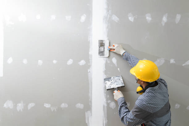 Best Emergency Mold Remediation  in North Eagle Butte, SD