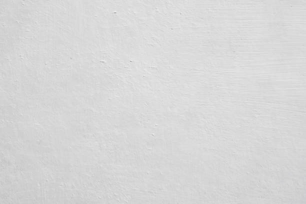 Reliable North Eagle Butte, SD Mold Removal Solutions